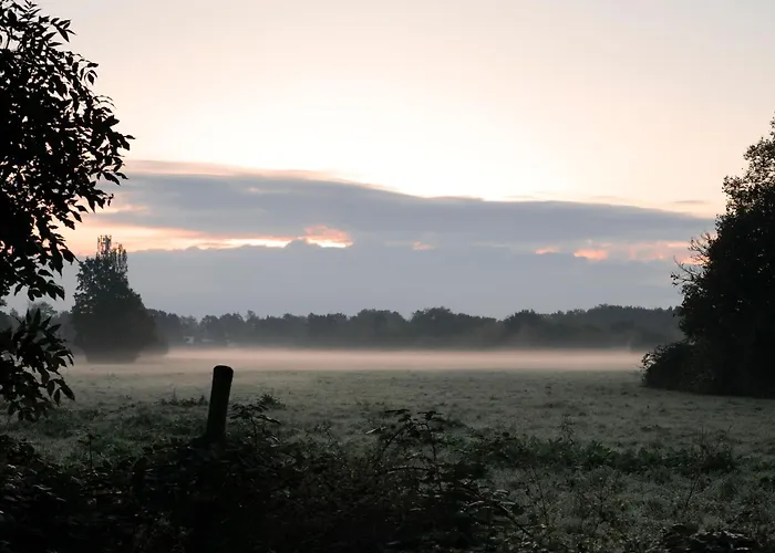 호텔 Lohauser Hof 3*